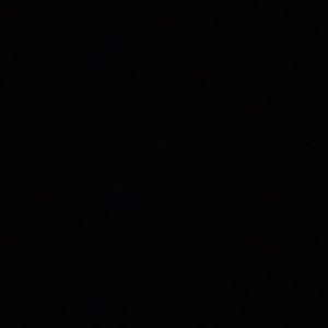 Meet your Posher, Maya